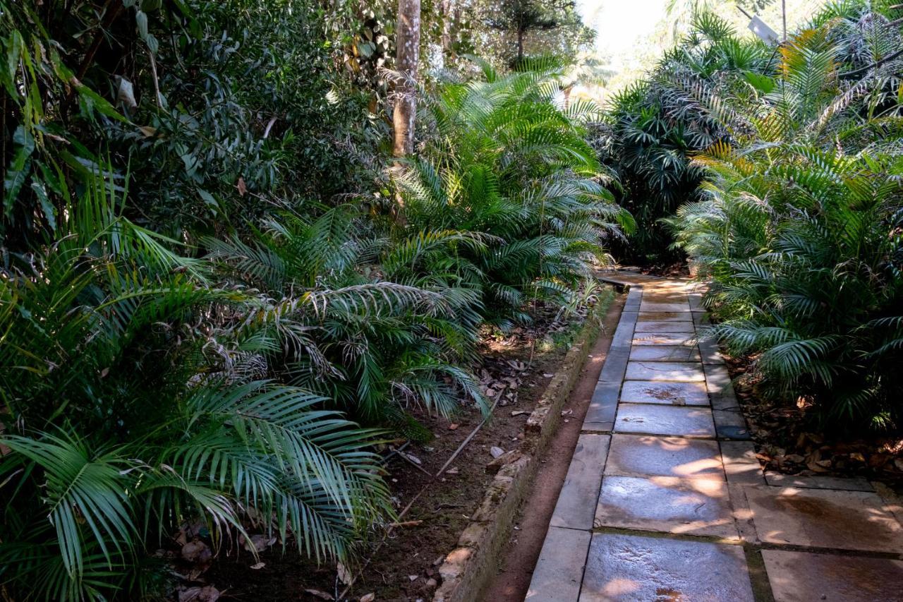 Mangaal Farmstay Goa Vichondrem Extérieur photo