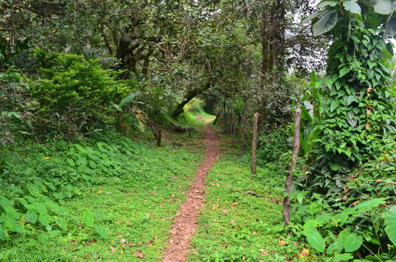 Mangaal Farmstay Goa Vichondrem Extérieur photo